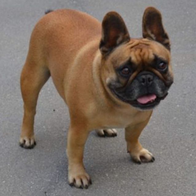 Photo of Di Di 