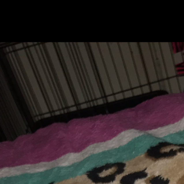 Photo of Ross