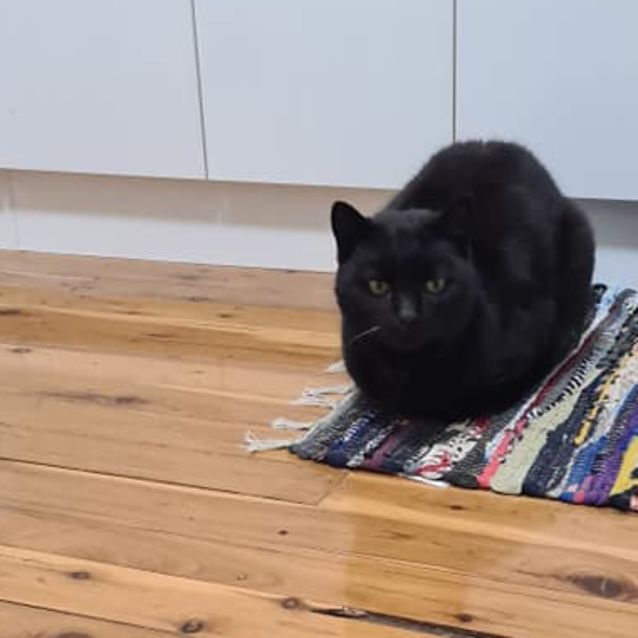 Photo of Duchess