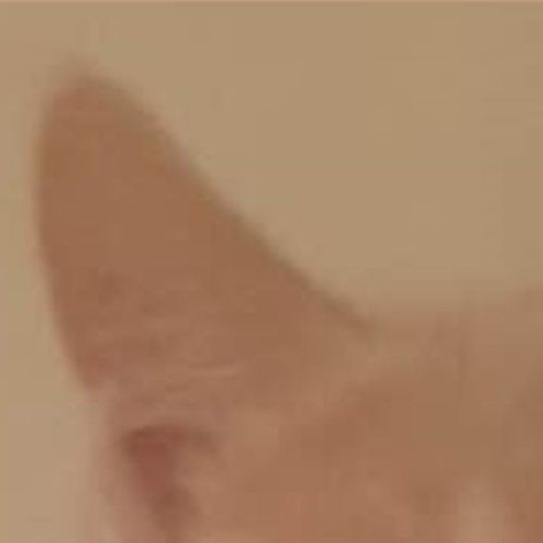 Amber