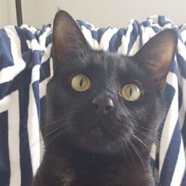 Photo of Mini B 