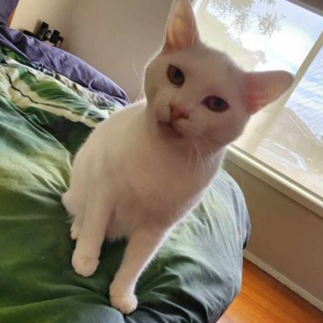 Photo of Jesse & Orianne