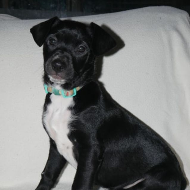 Photo of Myrtle