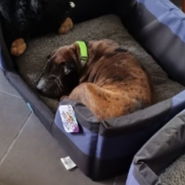 Photo of Tess And Bruce 