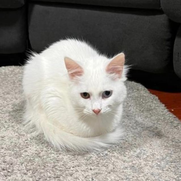 Photo of Miss Mellow