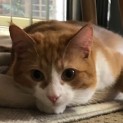 Photo of Riot