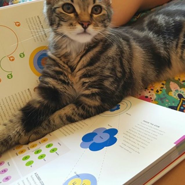 Photo of Terrific Tina