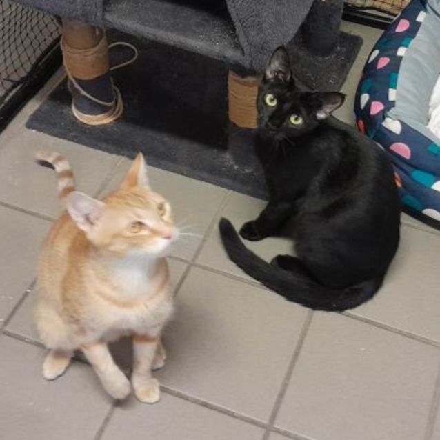 Photo of Noelle + Wanda