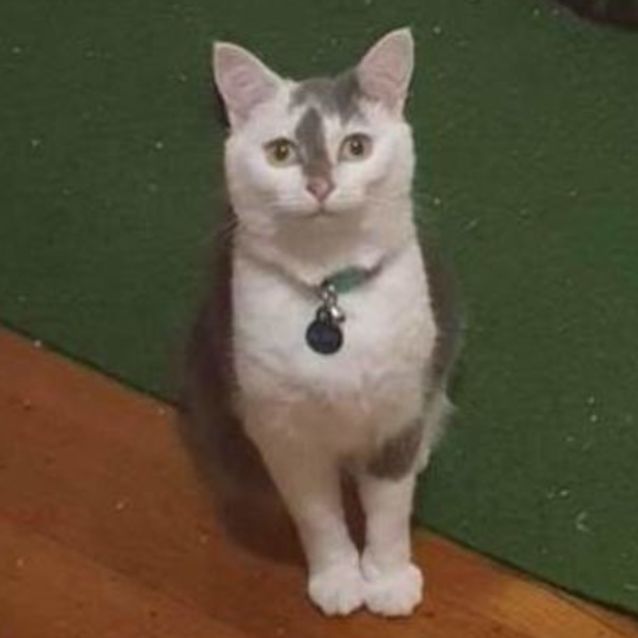 Photo of Gertrude Winifred (Gert) & The Dentist (Denny)