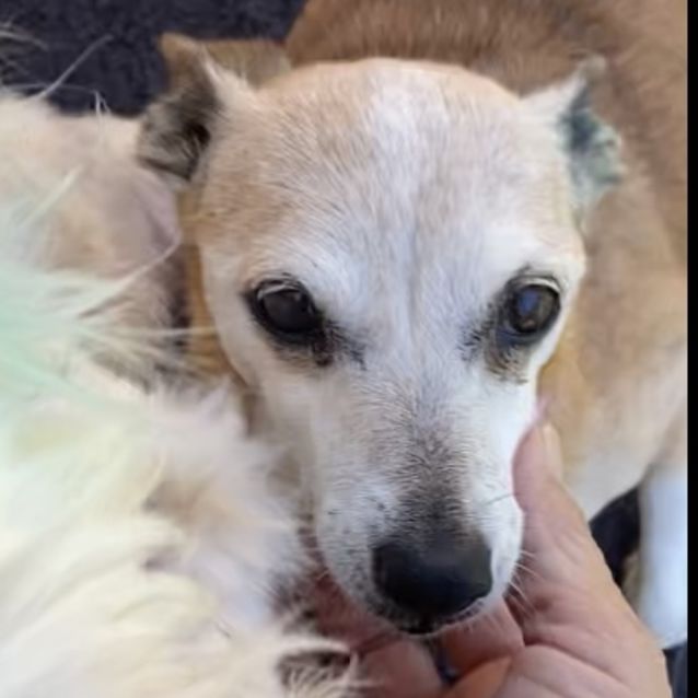 Photo of Barbara And Daisy