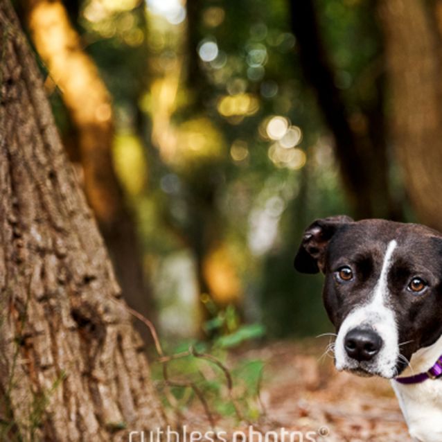 Photo of Abasia