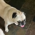 Photo of Gigi