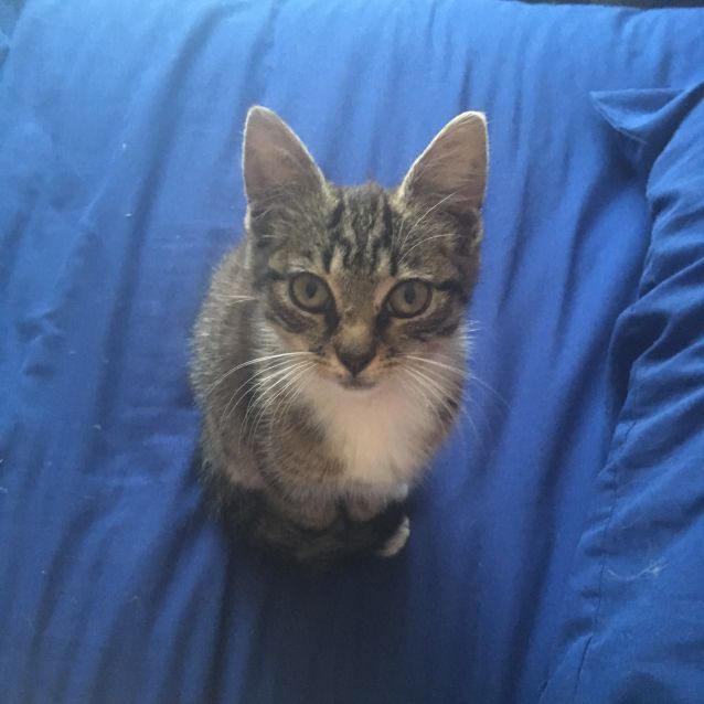 Photo of Jax 