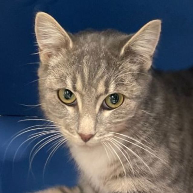 Photo of 🎁 Mack 5056 🎁