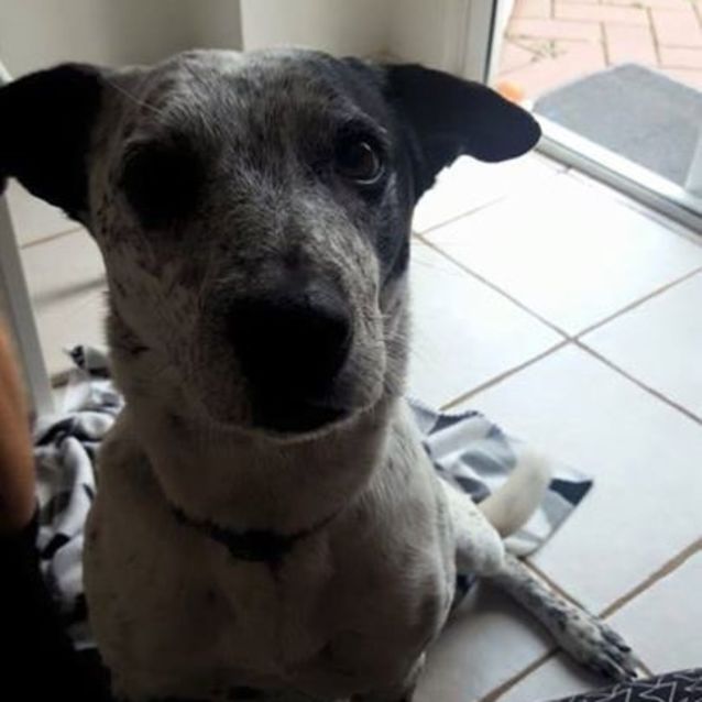 Photo of Maggie
