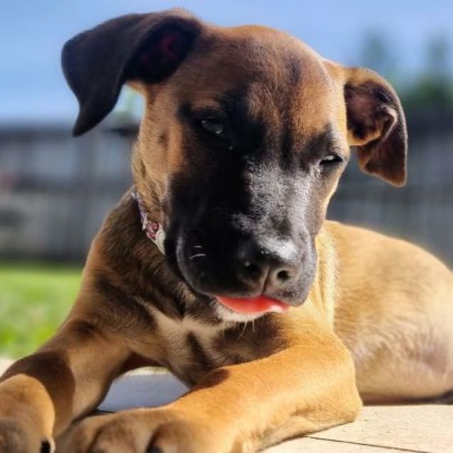 Photo of Tank