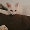 Photo of Bianca