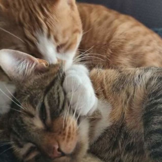 Photo of Luna And Lola