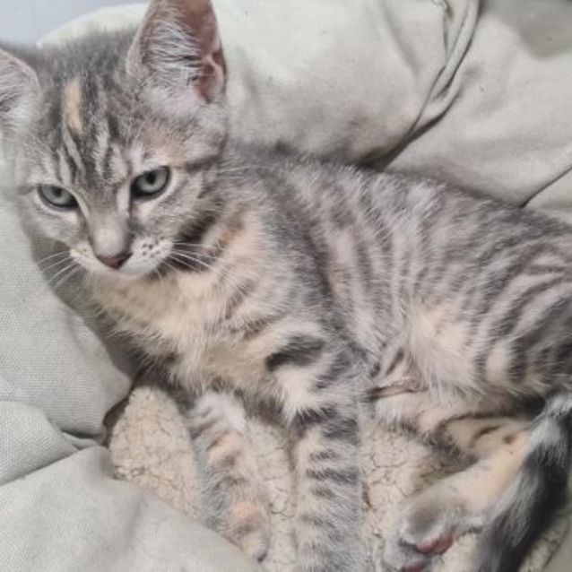 Photo of Zoe