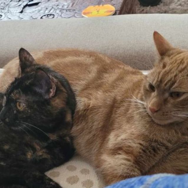 Photo of Capri (And Prosecco)