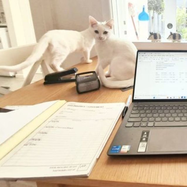 Photo of Adora & Aladdin