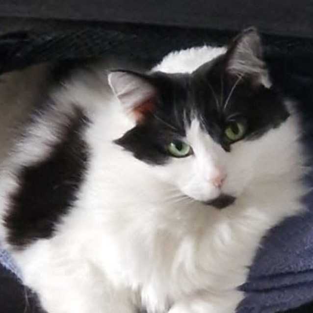 Photo of 🐭Schnooki 🐭