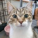 Photo of Spice