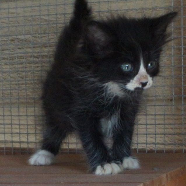 Photo of Captain