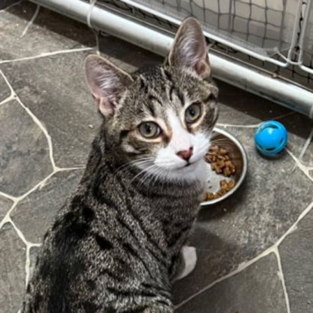 Photo of Soda   Can Assist With Transport