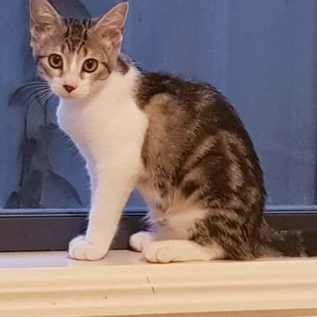 Photo of Tabitha