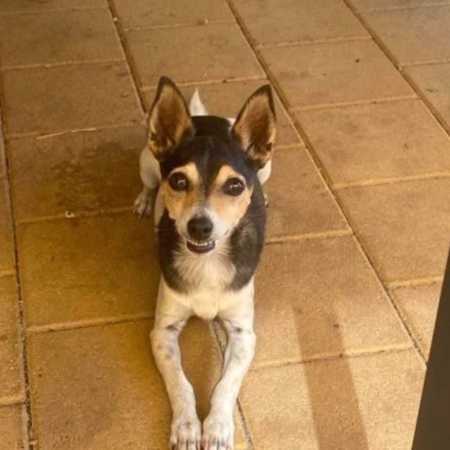 Photo of Theo And Molly 