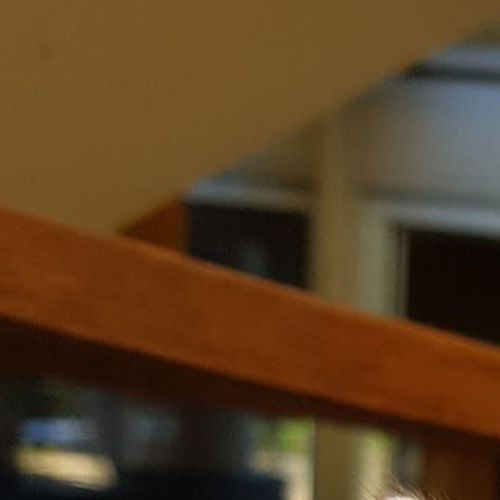 Bob the Builder, the fixit kitten! 