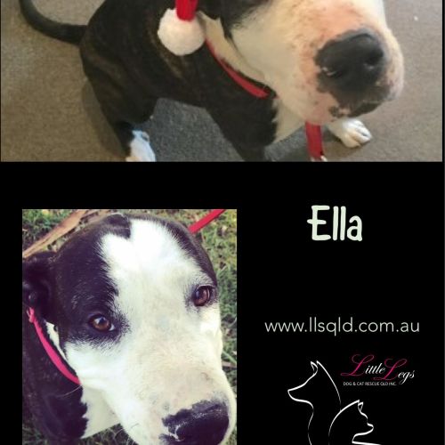 Ella