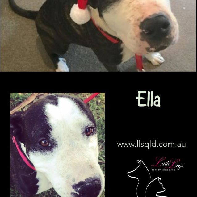 Photo of Ella