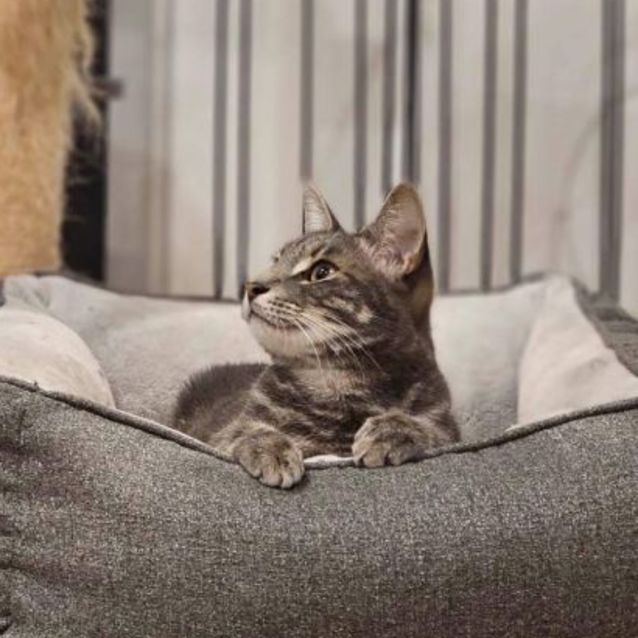 Photo of 💚 Kahlo 💚