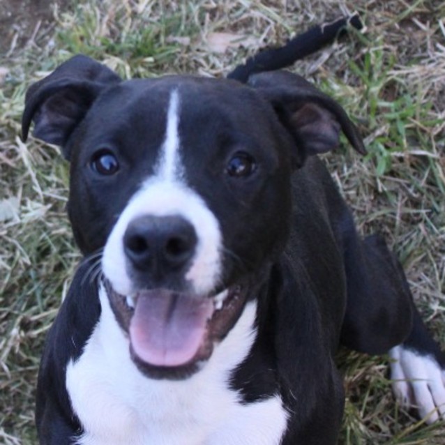 Photo of Hershey