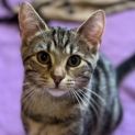 Photo of Quincy Located In Preston From October 18