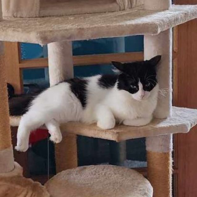 Photo of Nyra