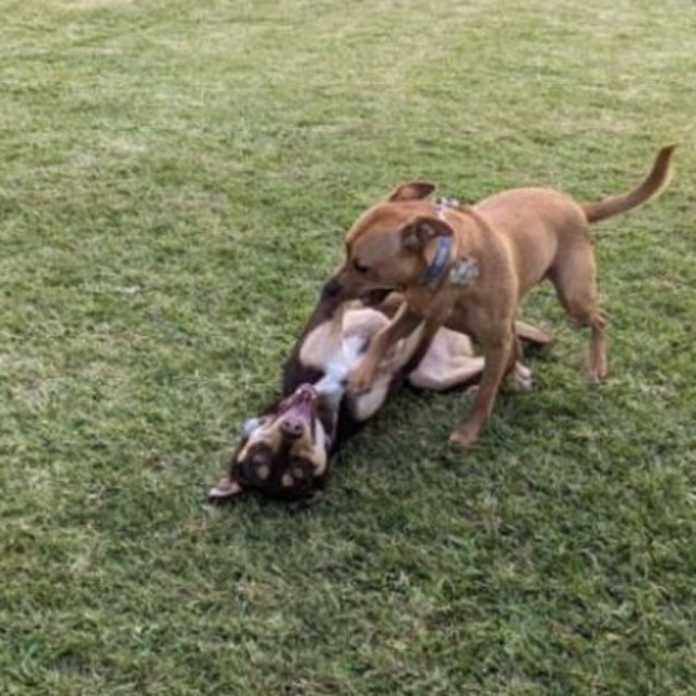 Photo of Lennox Aka Lenny