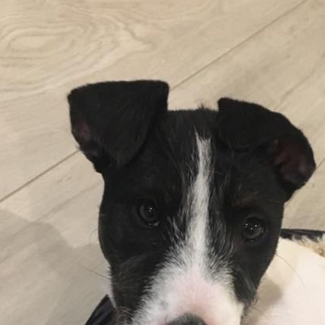 Photo of Lucy