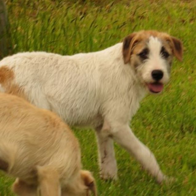 Photo of Fergal