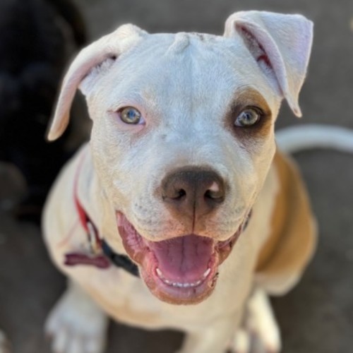 No photo for Clementine