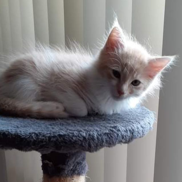 Photo of Wanda