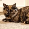 Photo of Sherry