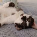 Photo of Cloudy