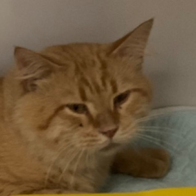 Photo of Reginald
