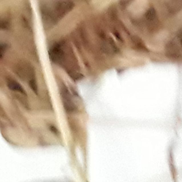 Photo of Audrey & Douglas