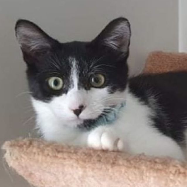 Photo of Jordan 🪁