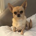 Photo of Edna