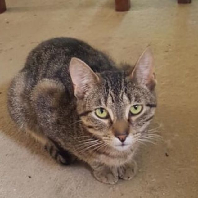 Photo of Chevy And Dabba 